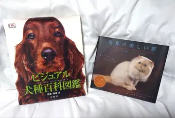 비주얼 견종 백과 도감 세계의 아름다운 고양이 2권 세트