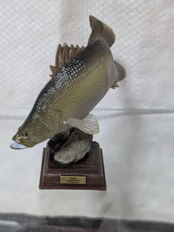 NTC 네이처 테크니컬러 일본의 청류 아카메 증보 특장판