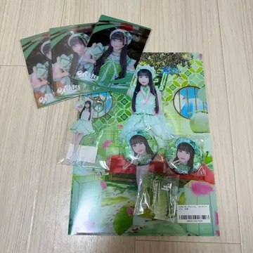 와카바노아 iLiFE! 무도관 아크링 키링 캔뱃지 클리어 파일