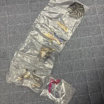 몬스터 헌터 스탠다드 모델 원초를 새기는 멜제나