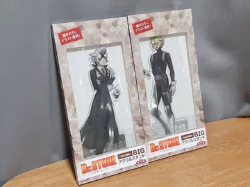 Dr.STONE GiGO 한정판 BIG 아크릴 스탠드 스탠리 제노