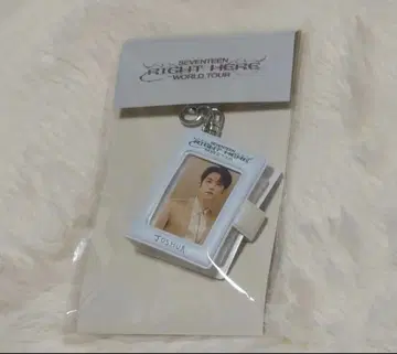 SEVENTEEN 조슈아 콜렉트북 키링