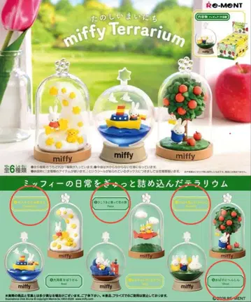 리멘트 miffyTerrarium 미피 테라리움 즐거운 매일