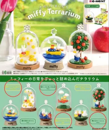 리멘트 miffyTerrarium 미피 테라리움 즐거운 매일