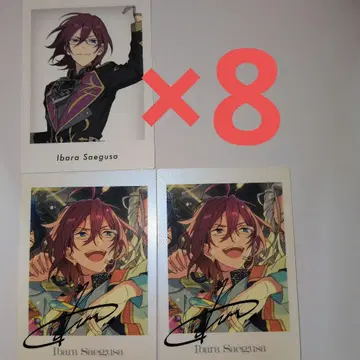 앙스타 전시회 파샤츠 사에구사 이바라