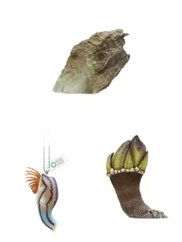 네이처 테크니컬러 MONO+ 따개비 마그넷 & 공 체인 3개 세트