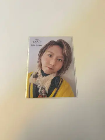 Mrs. GREEN APPLE 후지와라 료카 FJORD 레어 포토 카드