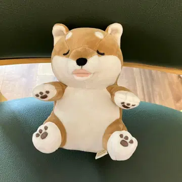 앙 물고 핥짝 코타로/시바견