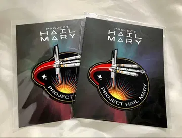 프로젝트 헤일메리 와펜 2개 세트 특전