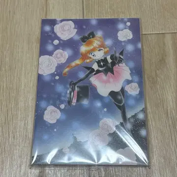 괴도 세인트 테일 타치카와 메구미 엽서 세트 16장 30주년 나카요시