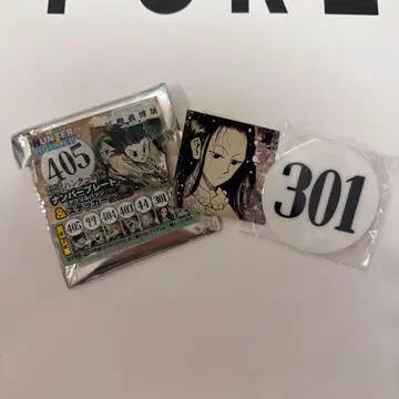 토카시 요시히로전 헌터 시험 번호판 301 이르미