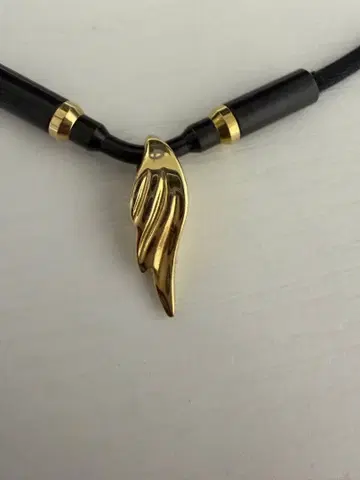 파이텐 RAKUWA 넥 윙스 골드