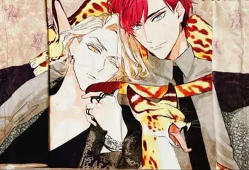 테라피 게임 점보 타월 히노하라 메구루