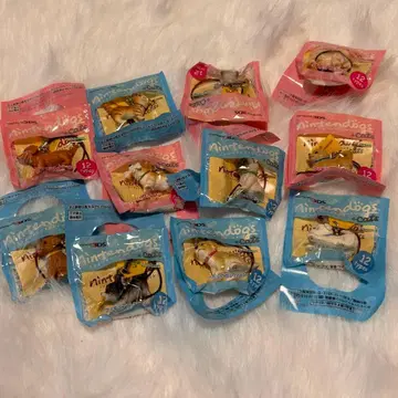 Nintendo 3DS 닌텐독스 + 캣츠 컬렉션 11종