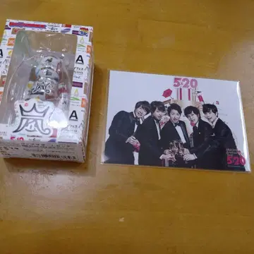 [ 한정판 ] 아라시 베어브릭 라이브 투어 로고 집합 사진 포함