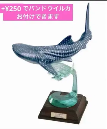 네이처 테크니컬러 해양I 특장판 징베상어 [미개봉]