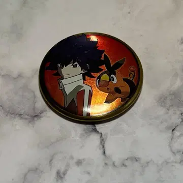 포켓몬 캔뱃지 컬렉션 이쉬 휴