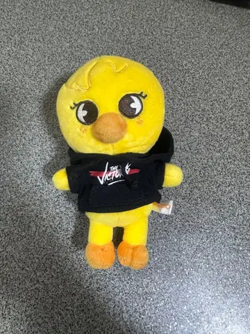 STRAYKIDSxSKZOO 'THE VICTORY' BbokAri