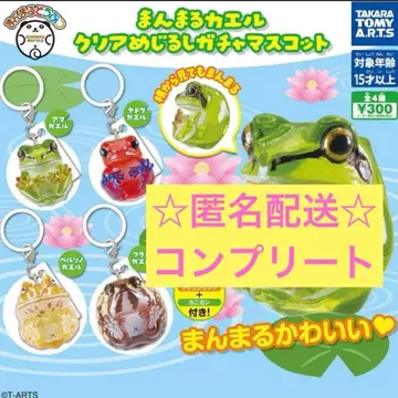 만마루쨩 개구리 클리어 메지루시 가챠 마스코트 전 4종 컴플리트
