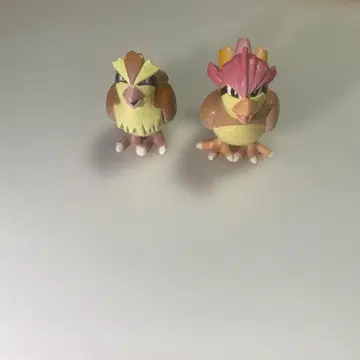 몬코레 삐삐 비둘기