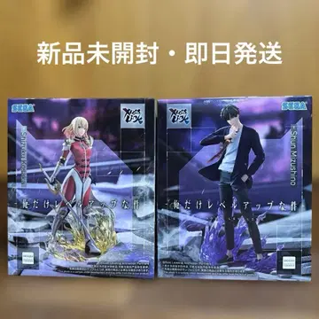 나 혼자만 레벨업 XrossLink 피규어 무카이 사카시즈쿠 미즈시노 슌