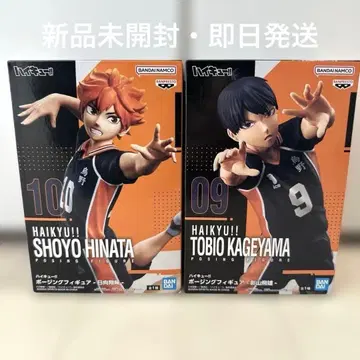 하이큐 포징 피규어 히나타 쇼요 카게야마 토비오 프라이스 2종 세트