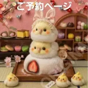 오카메앵무, 앵무새, 시마연가, 문조, 병아리 패널 원단 핸드메이드