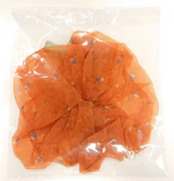 나니와단시 21년 나니와노니와 빅 스크런치