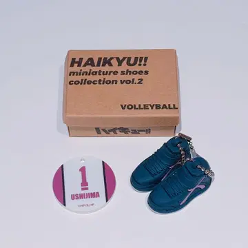 하이큐 미니어처 슈즈 컬렉션 우시지마 와카토시