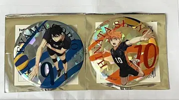 하이큐!! 쓰레기장의 결전 캔뱃지 히나타 쇼요 카게야마 토비오 2개 세트