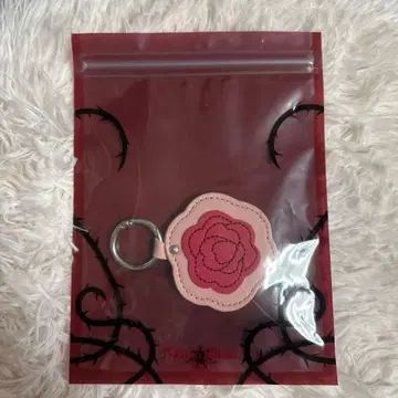 HANA Born to Bloom 1st TOUR 거울 참