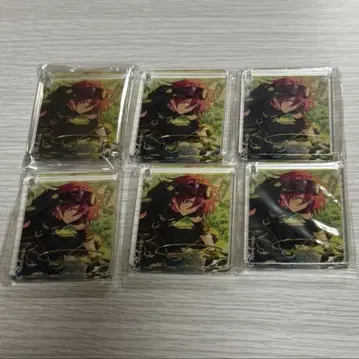 앙스타 애니카페 사에구사 이바라 콜로타 6개 세트