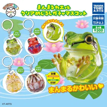 만마루쨩 개구리 클리어 메지루시 가챠 마스코트 전 4종 컴플리트