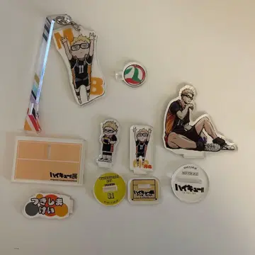 하이큐 츠키시마 케이 지로리 원화 아크릴 스탠드