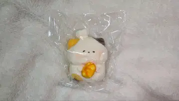 키키 스퀴시 스퀴즈 얼음 버터 고양이