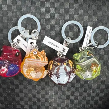 만마루쨩 개구리 클리어 메지루시 가챠 마스코트 컴플리트 세트