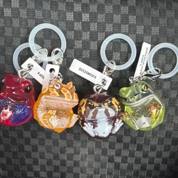 만마루쨩 개구리 클리어 메지루시 가챠 마스코트 컴플리트 세트