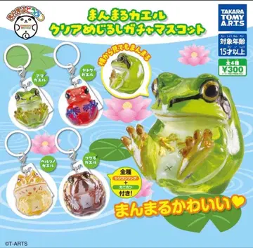 만마루쨩 개구리 클리어 메지루시 가챠 마스코트 전 4종 컴플리트