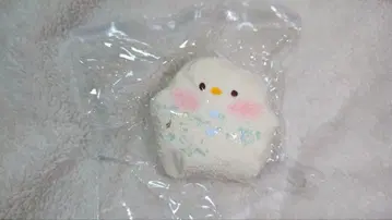 momoco 스퀴즈 눈 달마 봉투 교체 완료