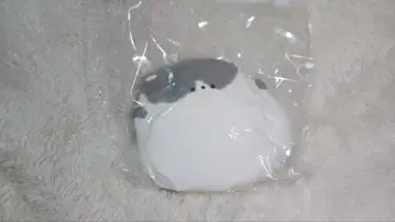 punipoplabo 고양이 맨손으로 만질 수 있습니다