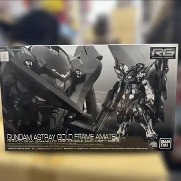 RG 골드 프레임 천 프리미엄 반다이 한정판 미조립