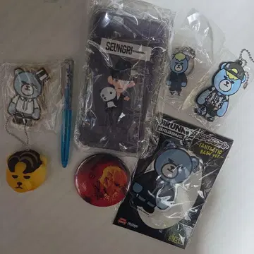 BIGBANG 승리 굿즈 8점