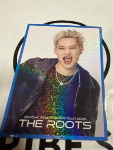 와타나베 렌 포토 카드 시크릿