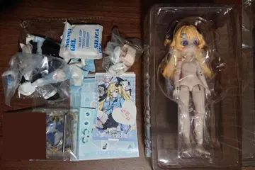 이현중구 Start Again 앨리스