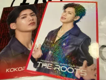 코하츠시 포토 카드 시크릿 2장 세트