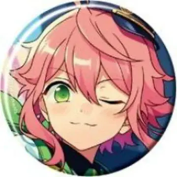 히메미야 토리 캔뱃지