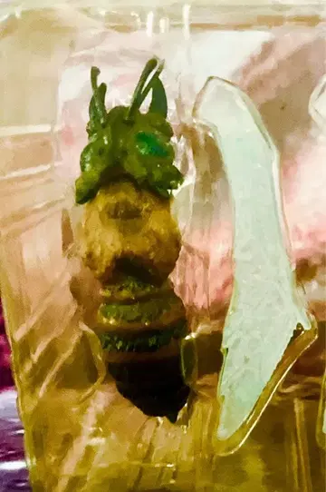 이와쿠라 특촬대백과 [살인맹독곤충벌] [파랑눈 버전] 피규어