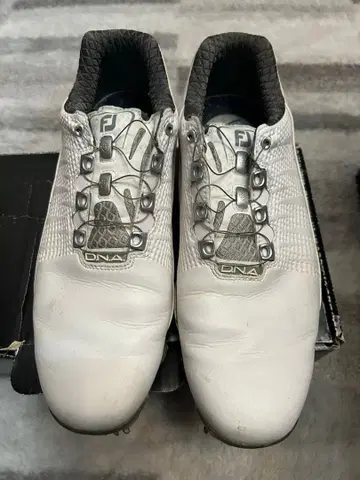 FootJoy DNA 골프화 스파이크 타입