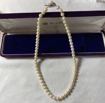 사이카야 펄 목걸이 진주 목걸이 펄 입학식