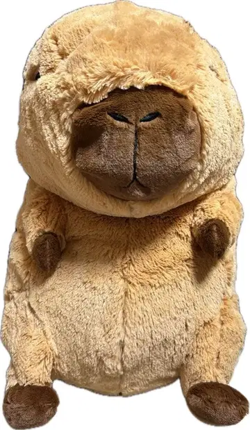 카피바라 봉제 인형 빅
